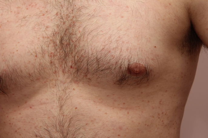 Imagem ilustrativa número 5