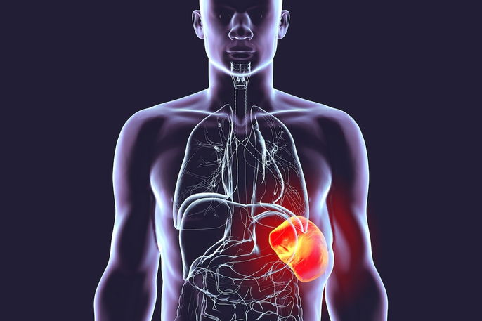 Imagem ilustrativa número 3