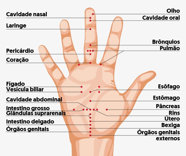 Imagem ilustrativa número 5