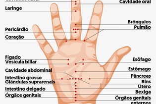 Imagem ilustrativa do artigo Pontos de acupuntura: no corpo, pés, mãos e orelhas