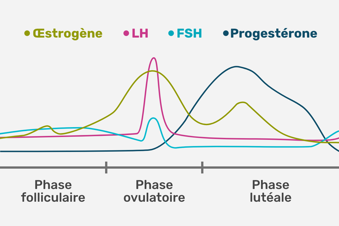 Imagem ilustrativa número 4