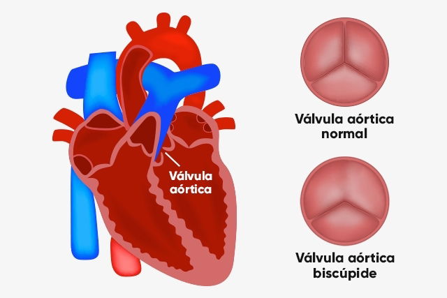 Imagem ilustrativa número 1