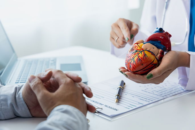 Imagem ilustrativa número 1