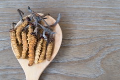Image illustrative de l'article Cordyceps: indications, comment utiliser (et effets secondaires)