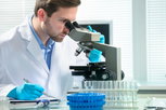Imagen ilustrativa del artículo Inmunohistoquímica: qué es, para qué sirve y cómo se realiza