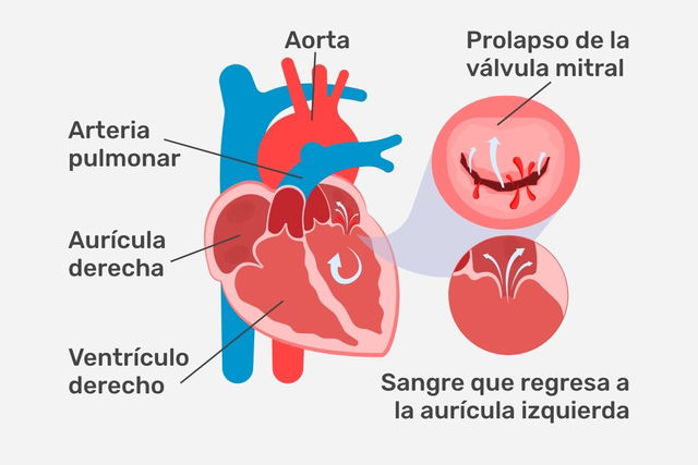 Imagem ilustrativa número 1