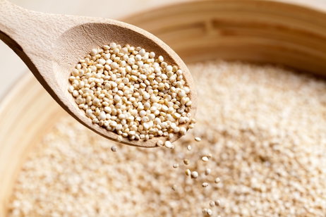 Image illustrative de l'article Quinoa: 10 bienfaits et comment le consommer (avec exemples)