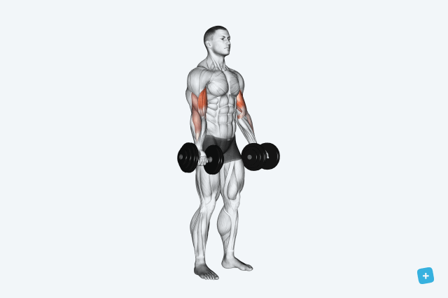 Imagem ilustrativa número 7