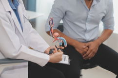 Imagen ilustrativa del artículo Pene: partes, función, tipos y enfermedades comunes