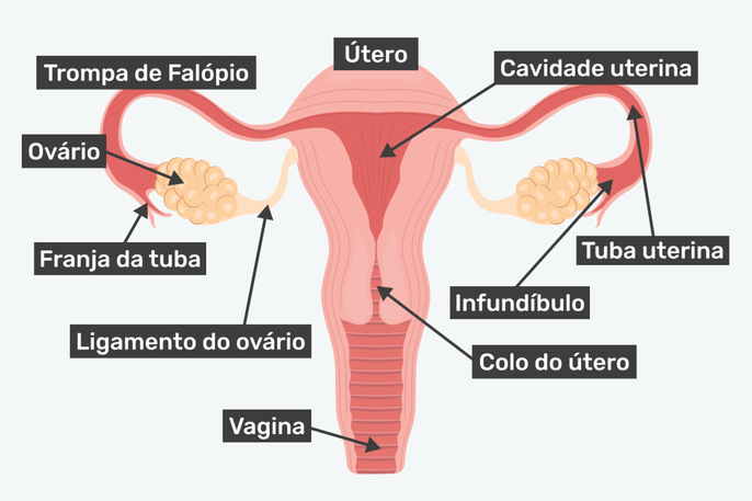 Imagem ilustrativa número 3