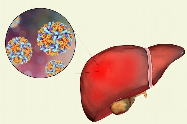 Imagem ilustrativa número 2