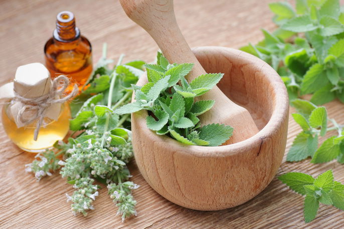 Imagem ilustrativa número 1