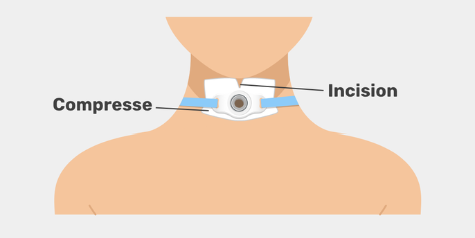 Imagem ilustrativa número 1