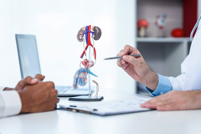 Imagem ilustrativa número 1