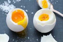 Illustrative image of the article Can you get Salmonella from eggs?