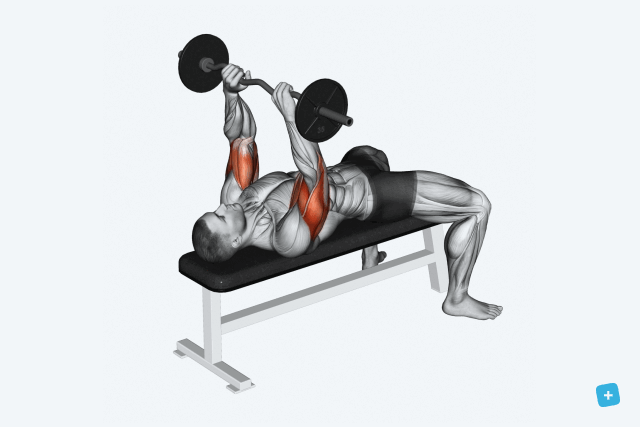 Imagem ilustrativa número 14