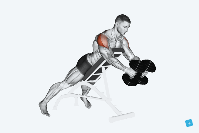 Imagem ilustrativa número 15