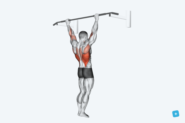 Imagem ilustrativa número 6