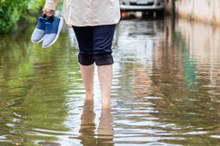 Imagen ilustrativa del artículo Leptospirosis: qué es, síntomas y tratamiento