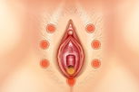 Illustrative image of the article What Is Vulvodynia? (Symptoms, Causes & Treatment)