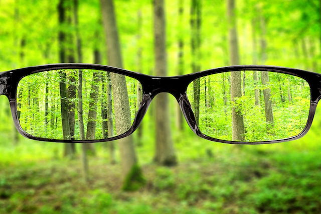 Imagem ilustrativa número 3