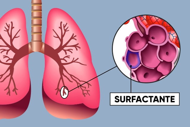 Imagem ilustrativa número 1