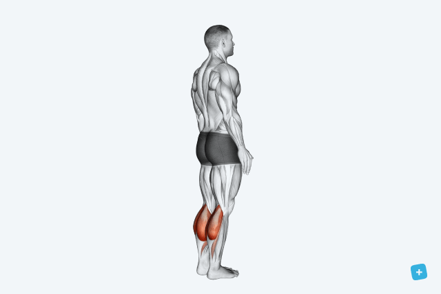 Elevanción de talones