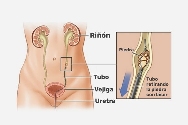 Imagem ilustrativa número 1