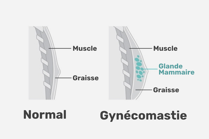 Imagem ilustrativa número 4