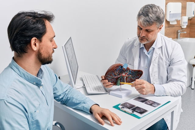 Médico explicando a causa dos sintomas para o paciente utilizando uma representação do fígado