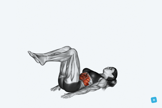 Imagem ilustrativa número 15