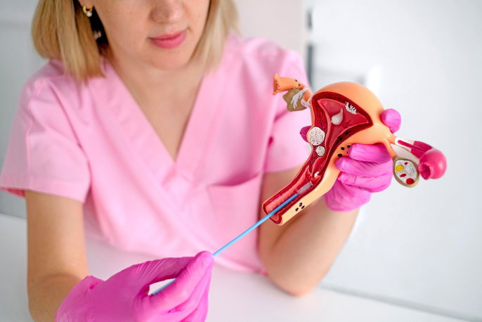 A gynecologist using a model of a female uterus shows students the process of taking gynecological s