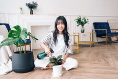 Imagem ilustrativa do artigo 5 Inseticidas naturais (e como preparar)