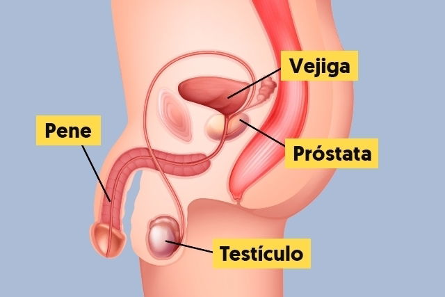 Imagen ilustrativa del artículo Cáncer de próstata: síntomas, causas y tratamiento (con test online)