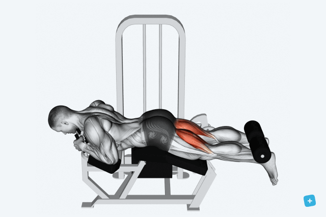 curl femoral en maquina