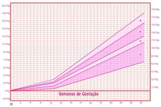 Imagen ilustrativa del artículo Calculadora de peso en el embarazo: cuántos kilos aumentar