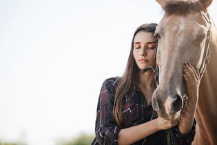 Imagen ilustrativa del artículo Encefalitis equina: qué es, síntomas y tratamiento