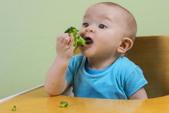 Image illustrative de l'article DME bébé: à quel âge, aliments (et comment commencer)
