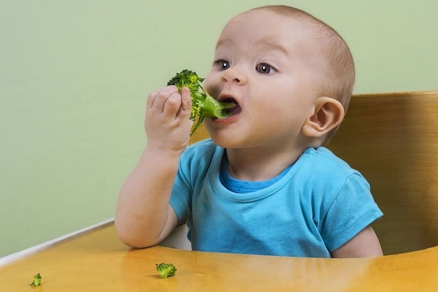 bébé qui met un brocoli en bouche