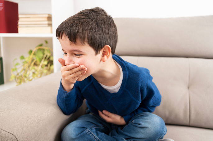 Imagem ilustrativa número 1