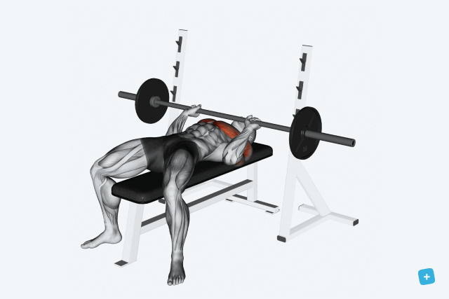 Imagem ilustrativa número 8