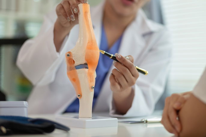 Doctor demonstrating knee cartilage on anatomy model