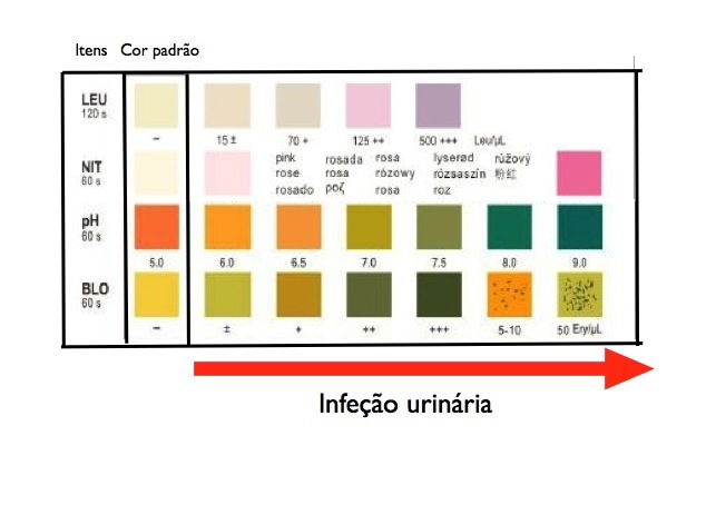 Imagem ilustrativa número 6