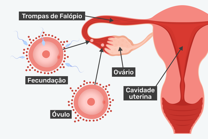 Imagem ilustrativa número 2