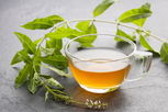 Illustrative image of the article Lemon Verbena: 12 Benefits & How to Use (Tea & Essential Oil)
