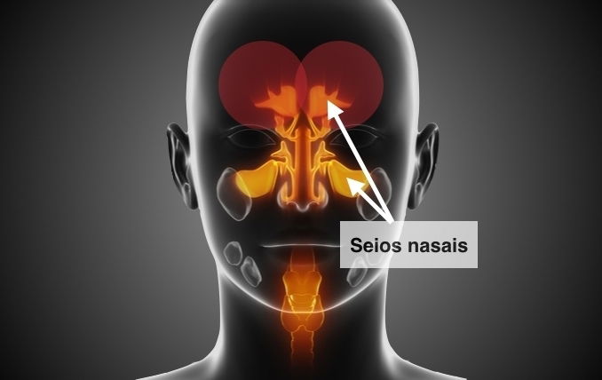 Imagem ilustrativa número 1