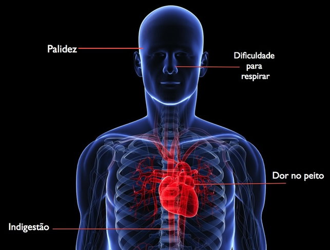 Imagem ilustrativa número 1