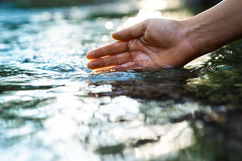 Imagem ilustrativa do artigo Ameba comedora de cérebro, existe mesmo?