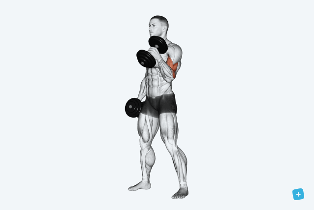 Imagem ilustrativa número 2