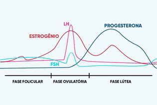 Imagem ilustrativa do artigo Ciclo menstrual: o que é, fases, como contar e quanto tempo dura